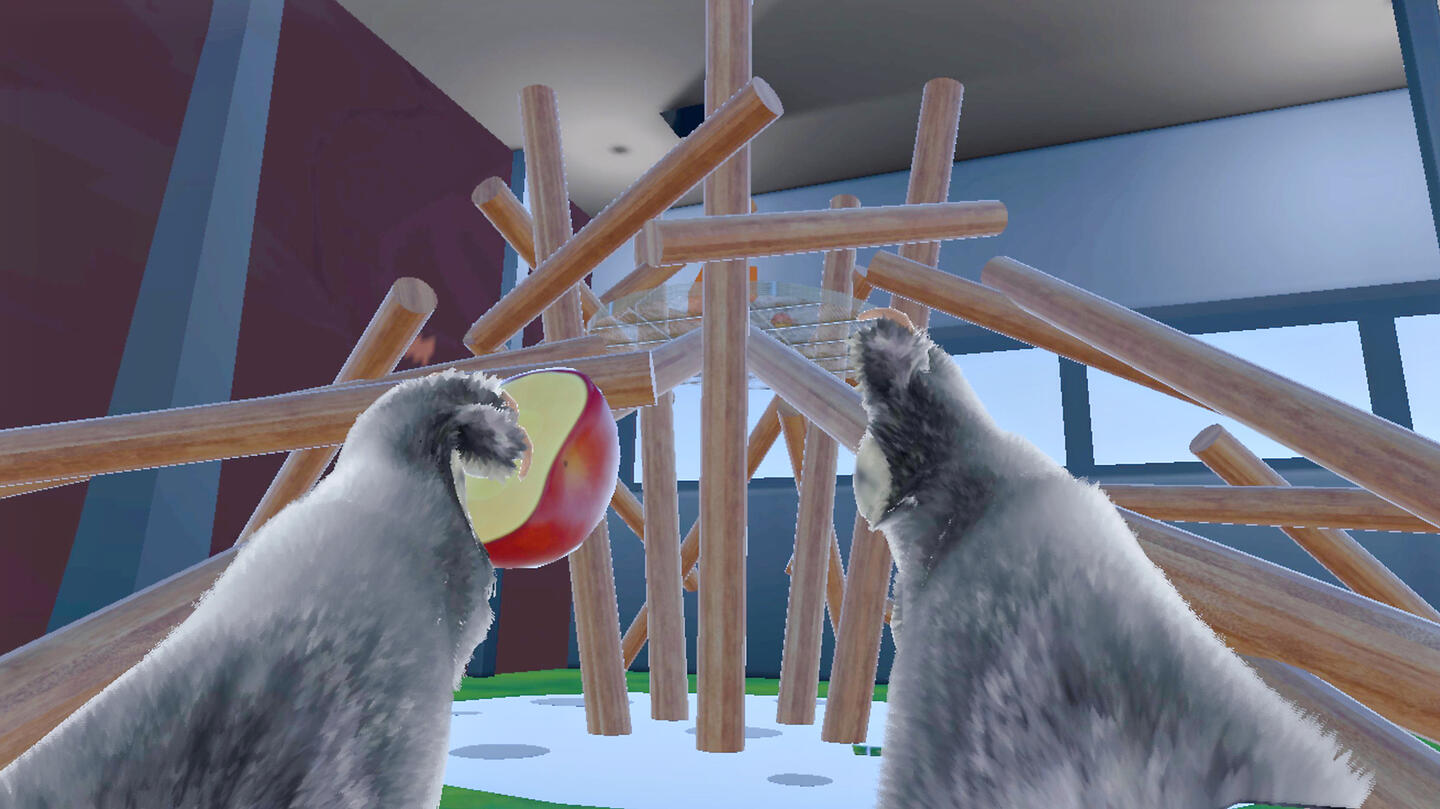 Panda paws knocking over a wooden climbing structure